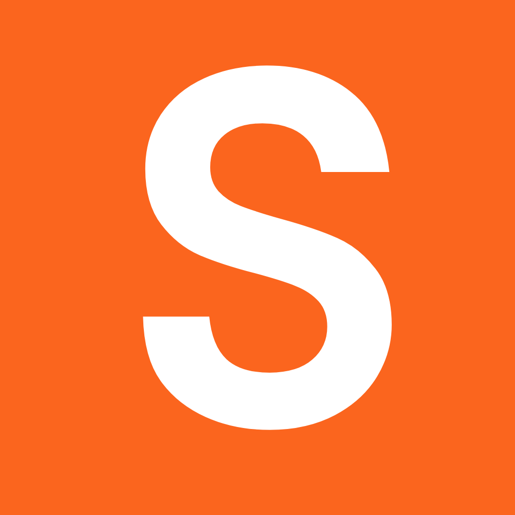 Saner.AI Logo