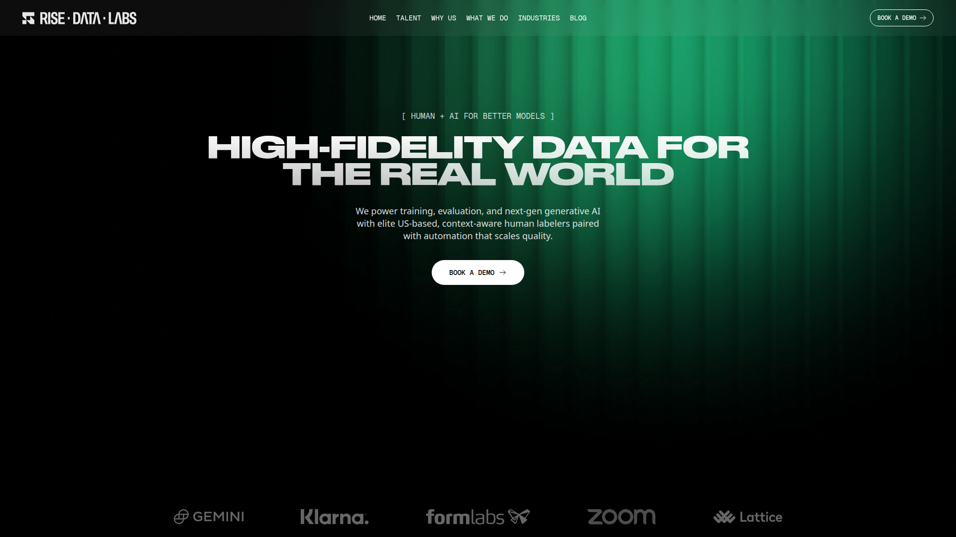 Rise Data Labs Website